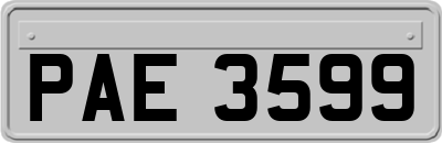 PAE3599