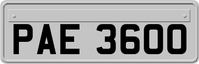 PAE3600