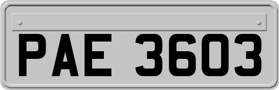 PAE3603