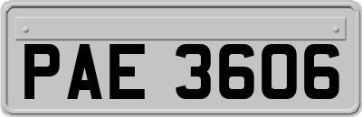 PAE3606