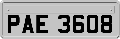 PAE3608