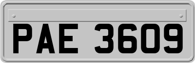 PAE3609