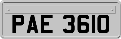 PAE3610