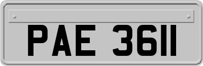 PAE3611