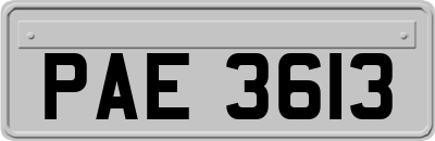 PAE3613