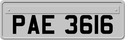 PAE3616