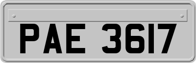 PAE3617