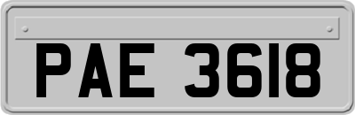 PAE3618