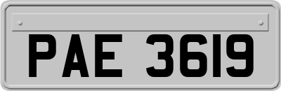 PAE3619