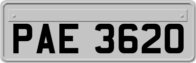 PAE3620