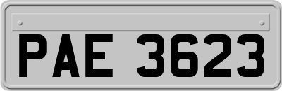 PAE3623