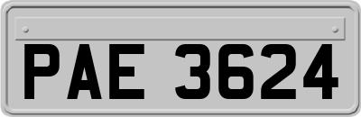 PAE3624