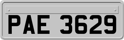 PAE3629