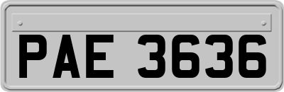 PAE3636