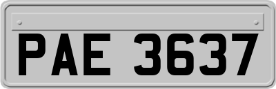 PAE3637