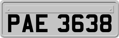 PAE3638