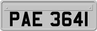 PAE3641