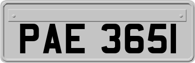 PAE3651