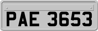 PAE3653
