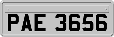 PAE3656