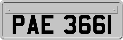 PAE3661