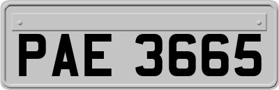PAE3665