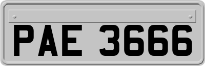 PAE3666