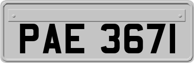 PAE3671