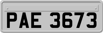 PAE3673
