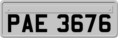 PAE3676