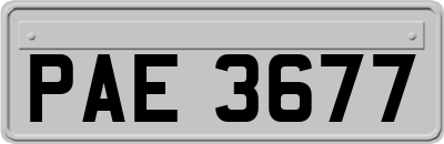 PAE3677