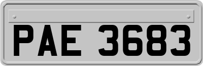 PAE3683