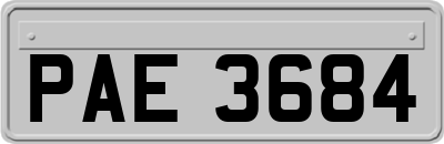 PAE3684