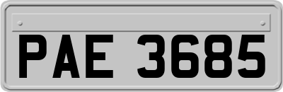PAE3685