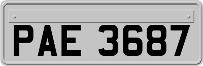 PAE3687