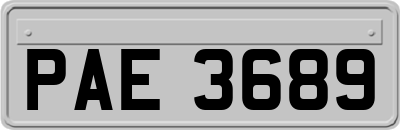 PAE3689