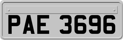 PAE3696
