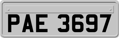 PAE3697
