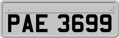 PAE3699
