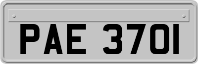 PAE3701