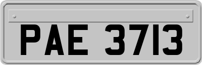 PAE3713