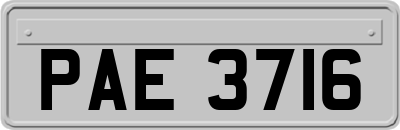 PAE3716