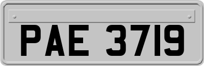 PAE3719