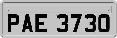 PAE3730