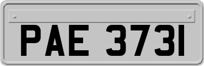 PAE3731