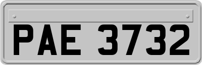 PAE3732