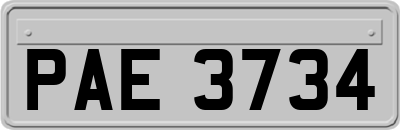 PAE3734
