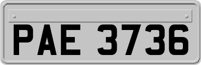 PAE3736