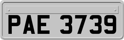 PAE3739