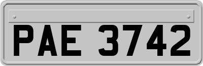 PAE3742